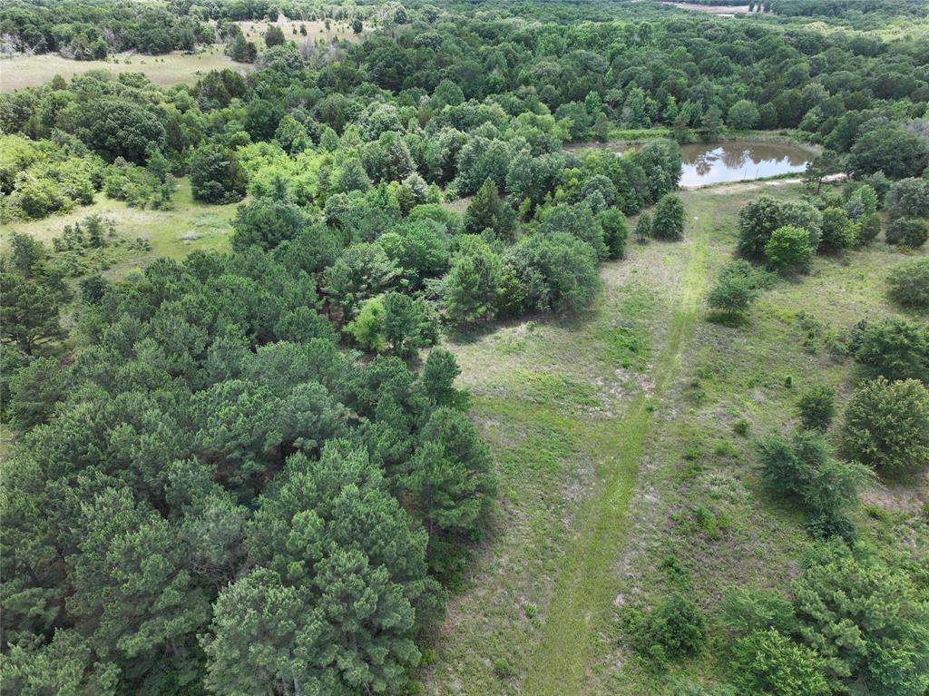 3843 Fm 1256 Property Photo 7