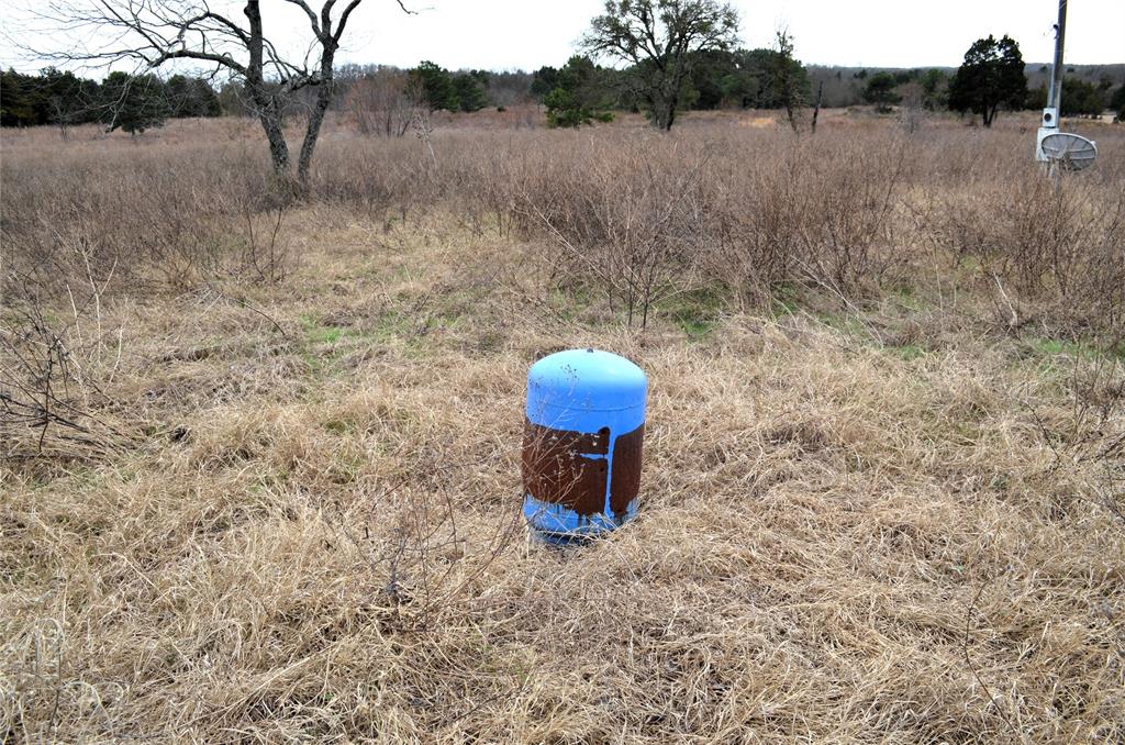 3843 Fm 1256 Property Photo 8