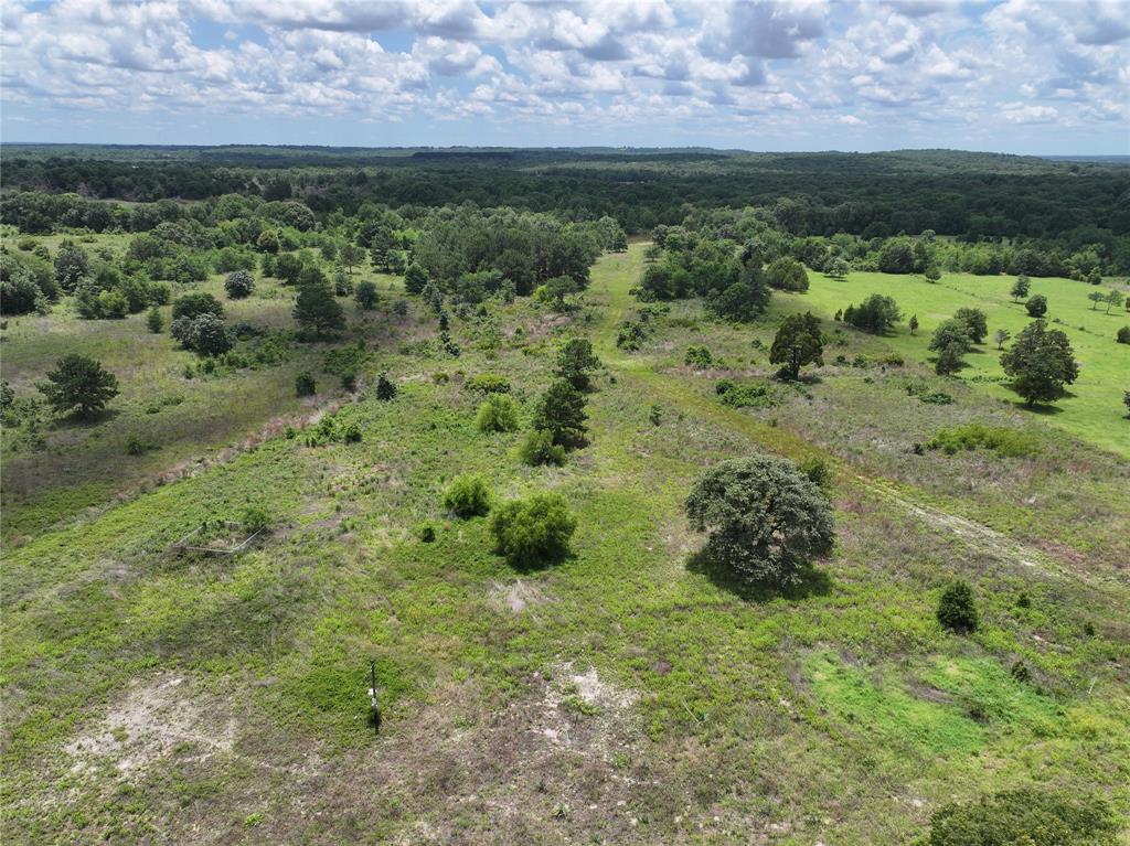 3843 Fm 1256 Property Photo 9