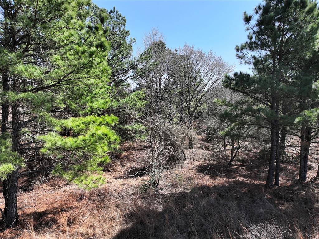3843 Fm 1256 Property Photo 10
