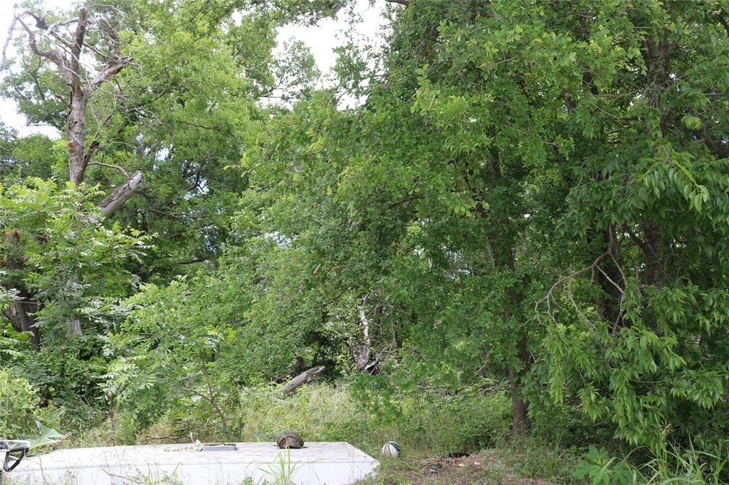 0 County Road 282 Property Photo 1