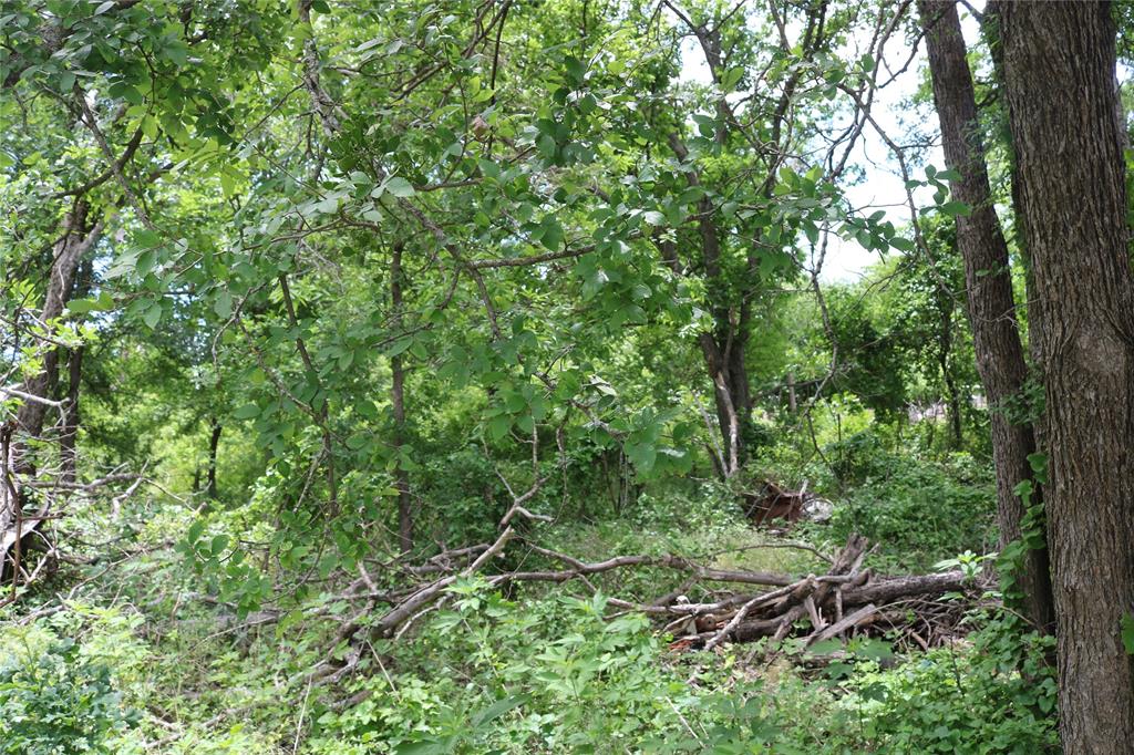 0 County Road 282 Property Photo 2