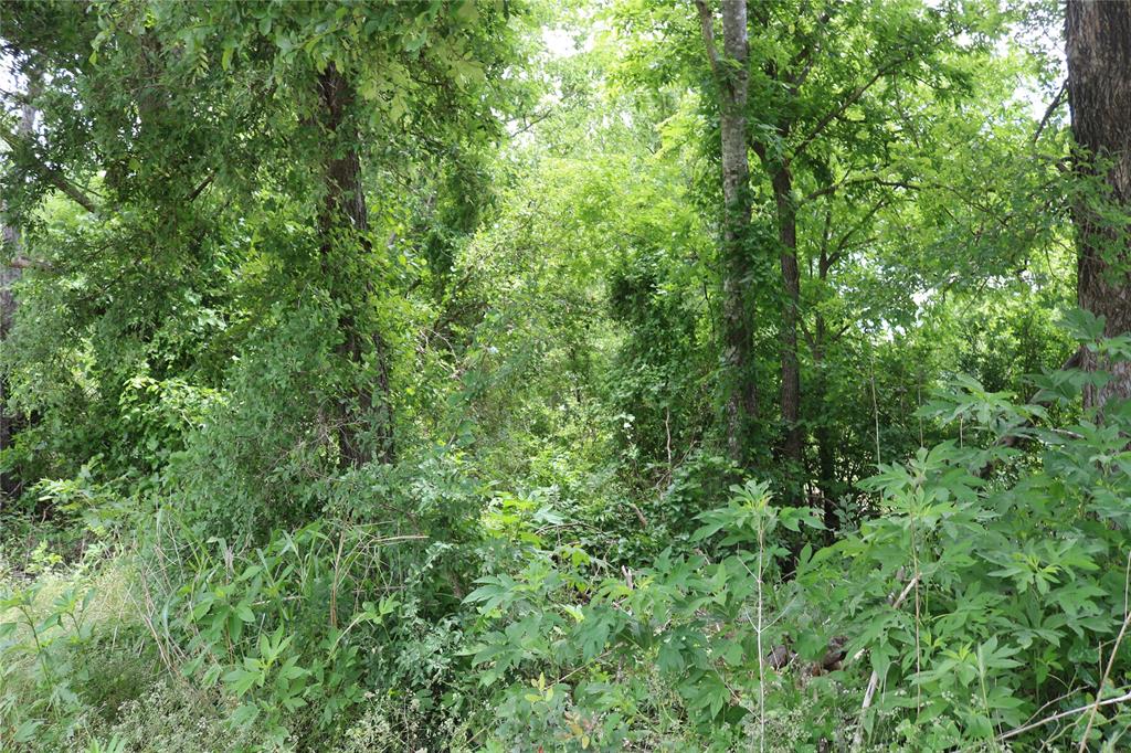 0 County Road 282 Property Photo 3