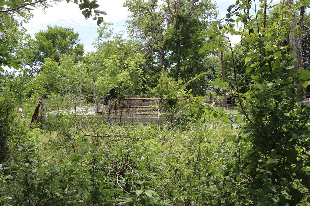 0 County Road 282 Property Photo 4
