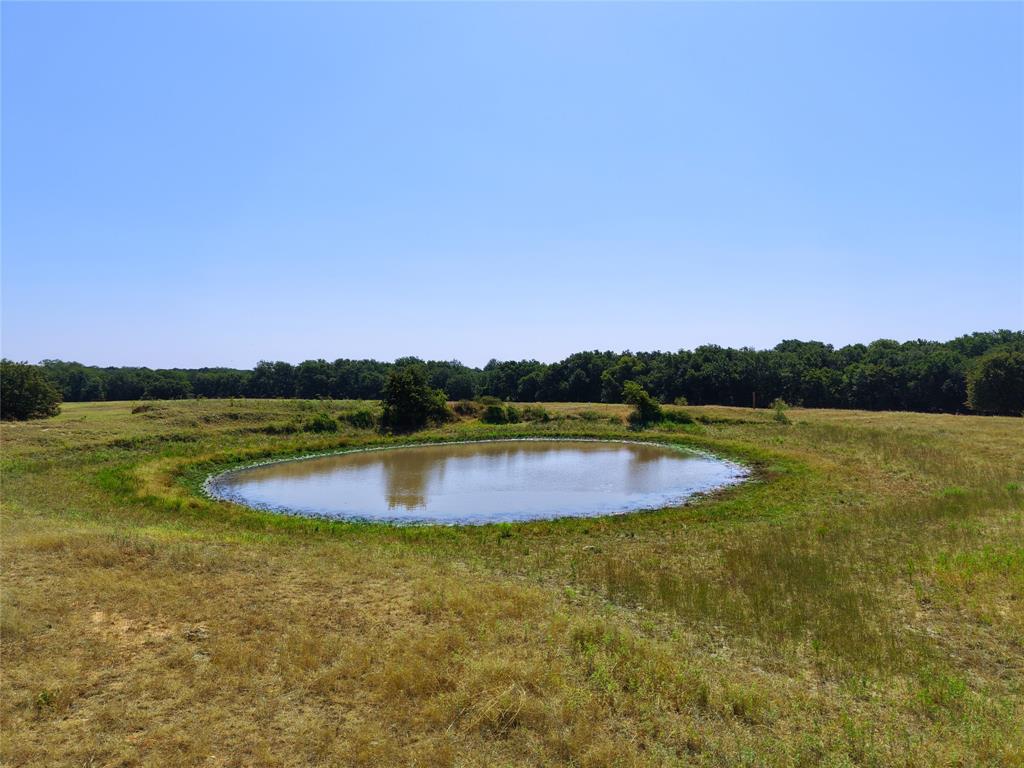 519 Fm 1815 Property Photo 29