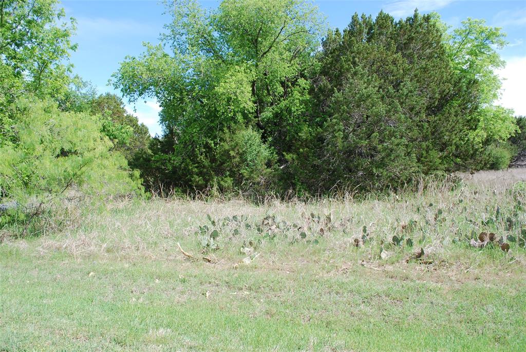 45011 Fringewood Drive Property Photo 1