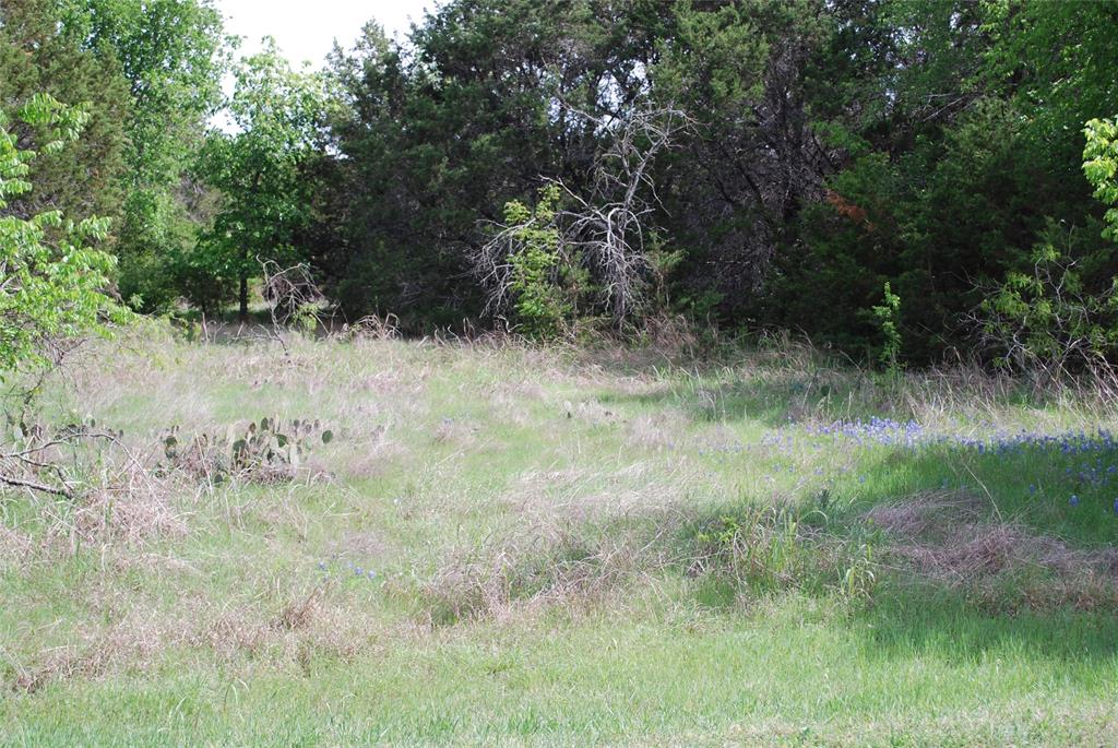 45011 Fringewood Drive Property Photo 2