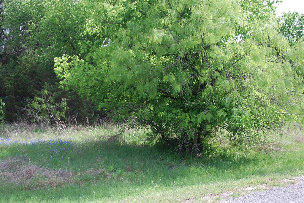 45011 Fringewood Drive Property Photo 3