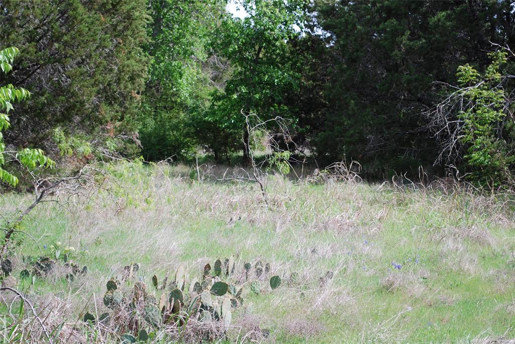 45011 Fringewood Drive Property Photo 4