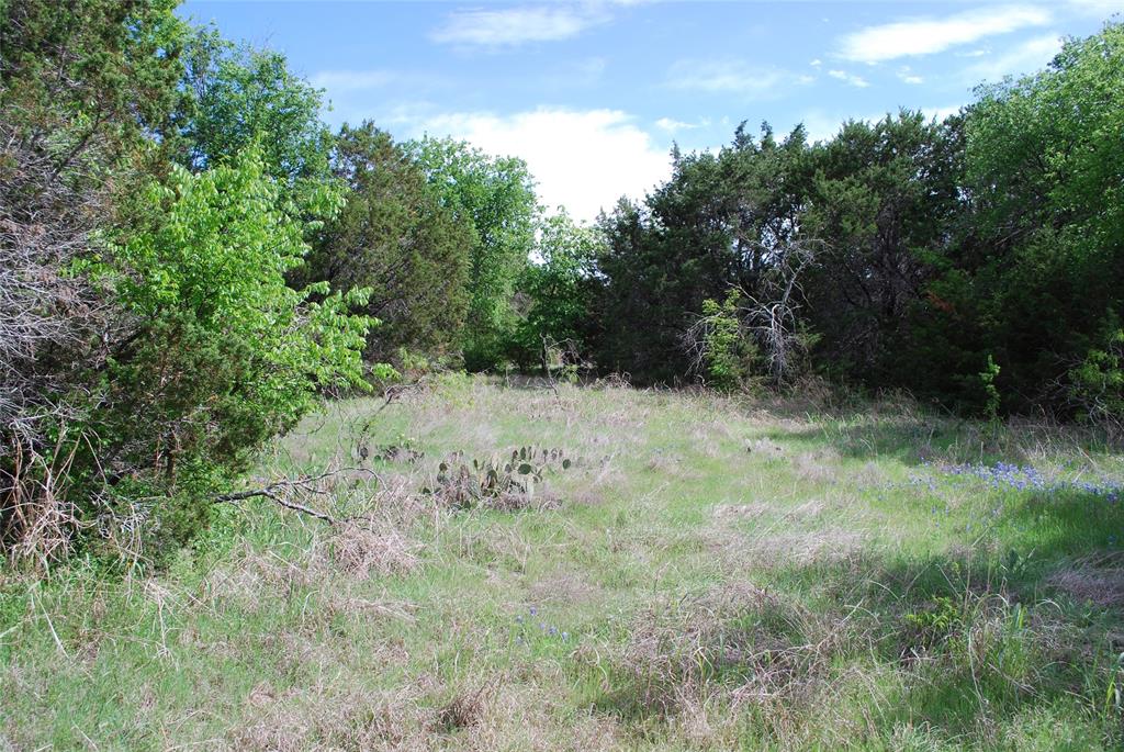 45011 Fringewood Drive Property Photo 5