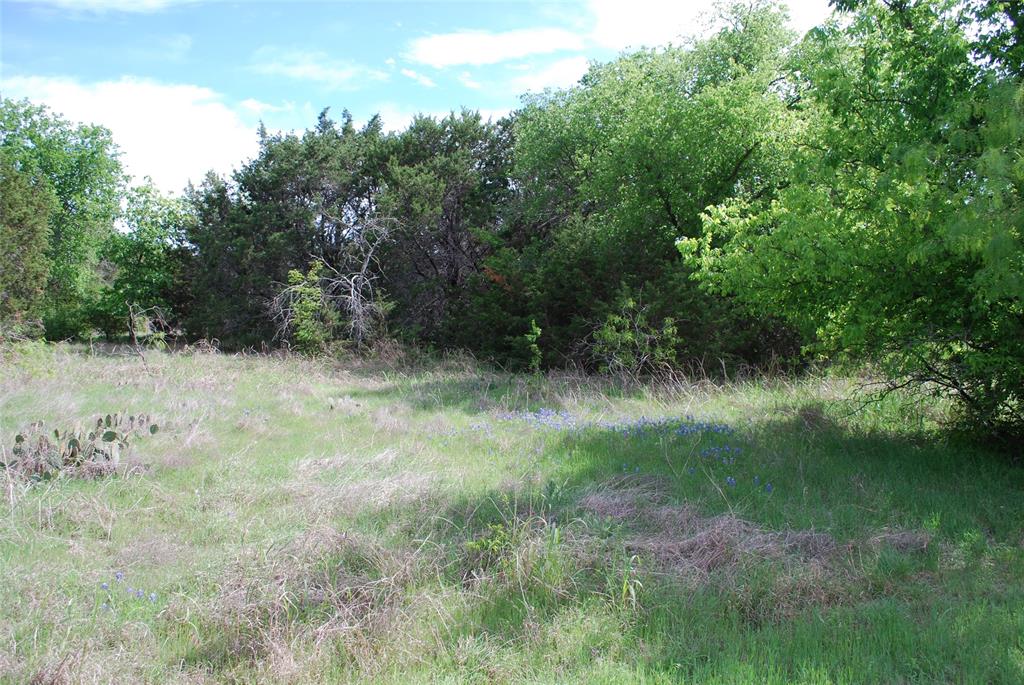 45011 Fringewood Drive Property Photo 6