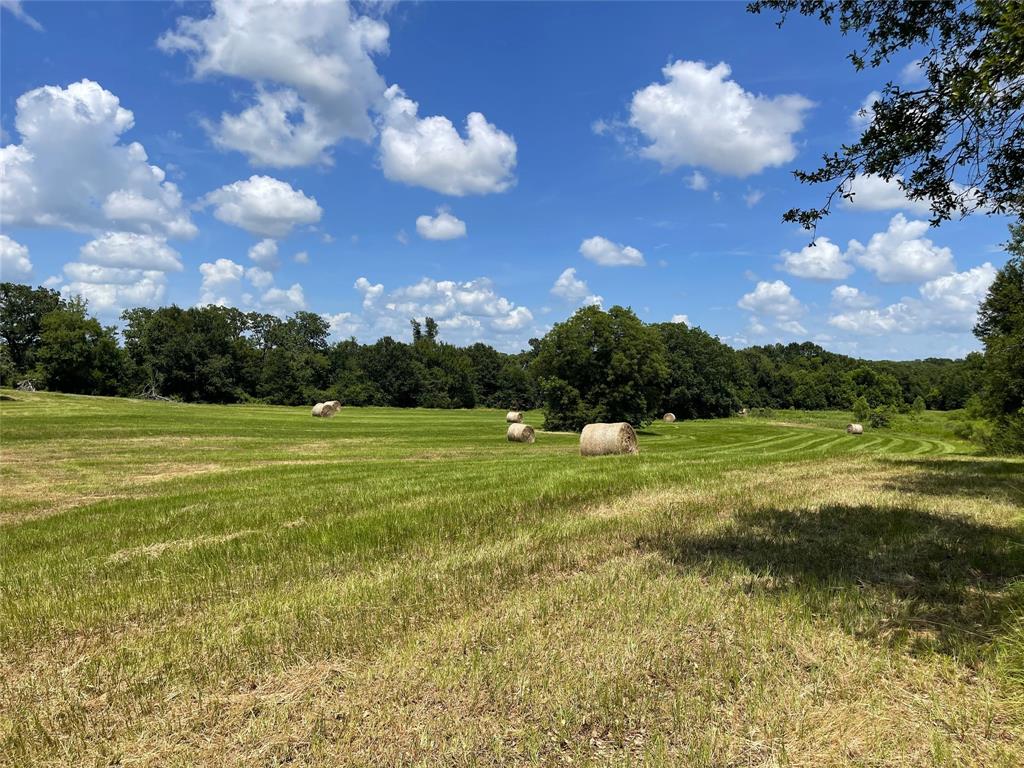 Tbd Hwy 164 Property Photo 14