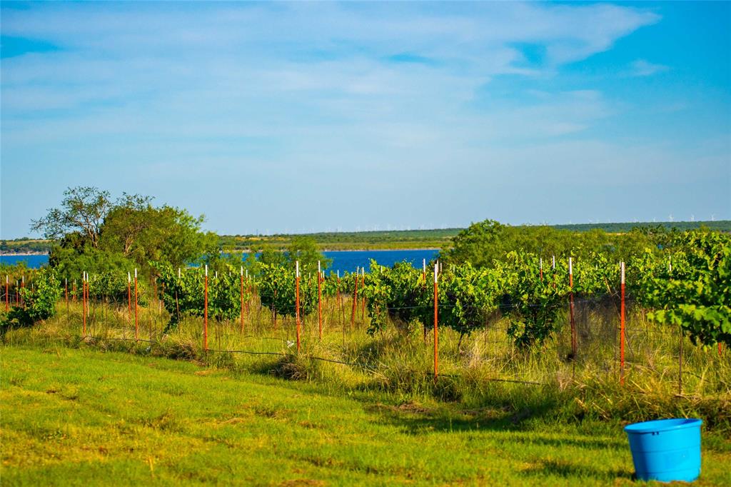 15051 Lake Ivie Drive Property Photo 15