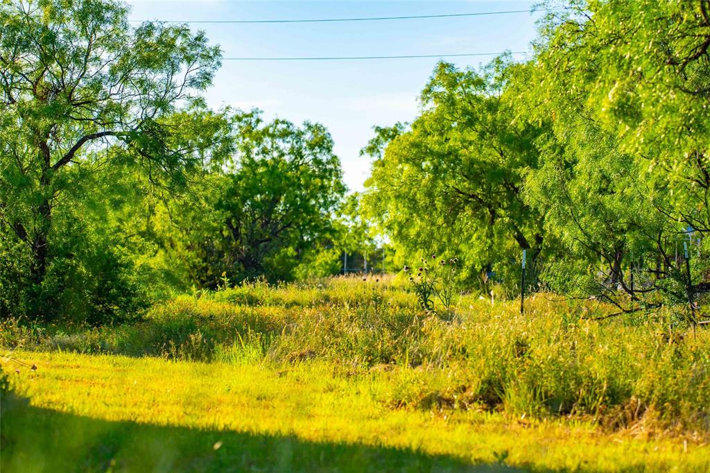 15051 Lake Ivie Drive Property Photo 28