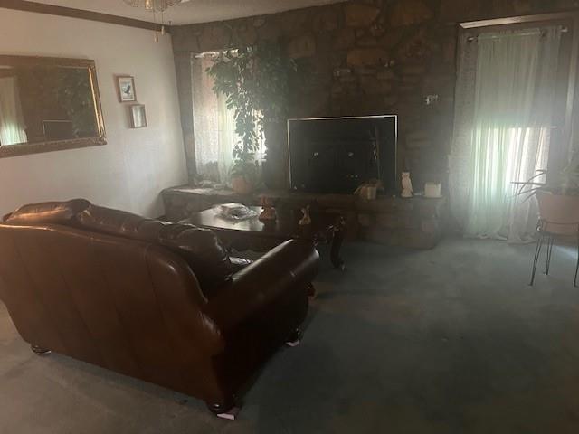 915 W Hwy 84 Highway Property Photo 15