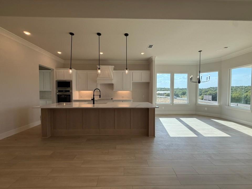 417 Texas Sage Trail Property Photo 3