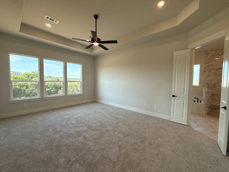 417 Texas Sage Trail Property Photo 5