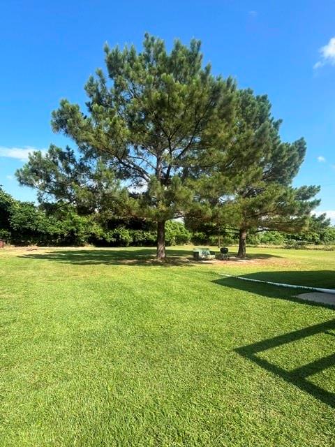10970 County Road 4020 Property Photo 5