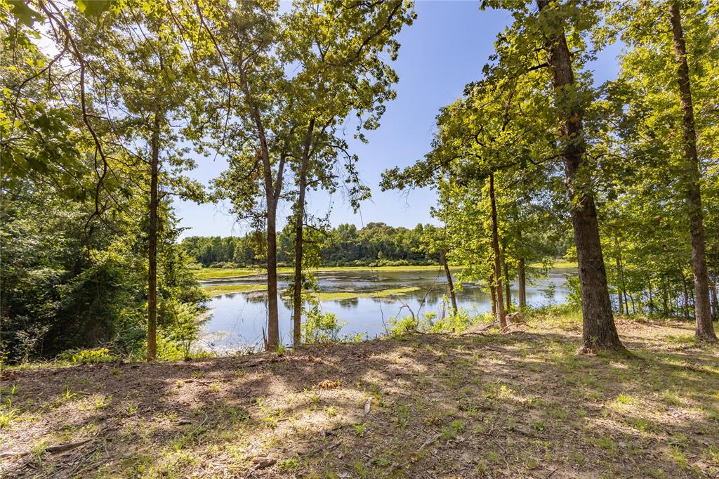 660 County Road 1503 Property Photo 38