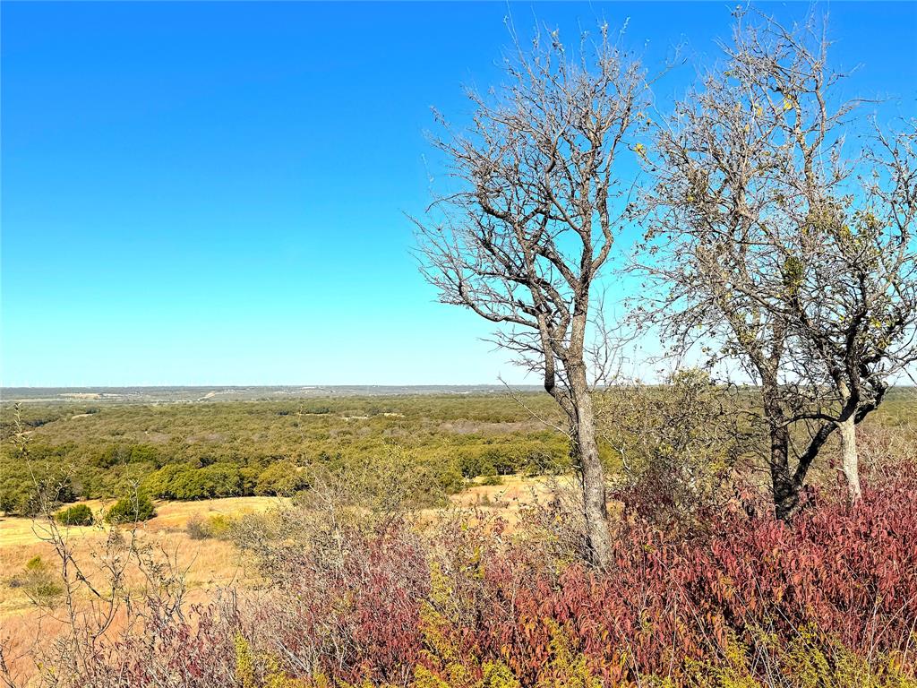 1849 Two Bush Road Property Photo 7