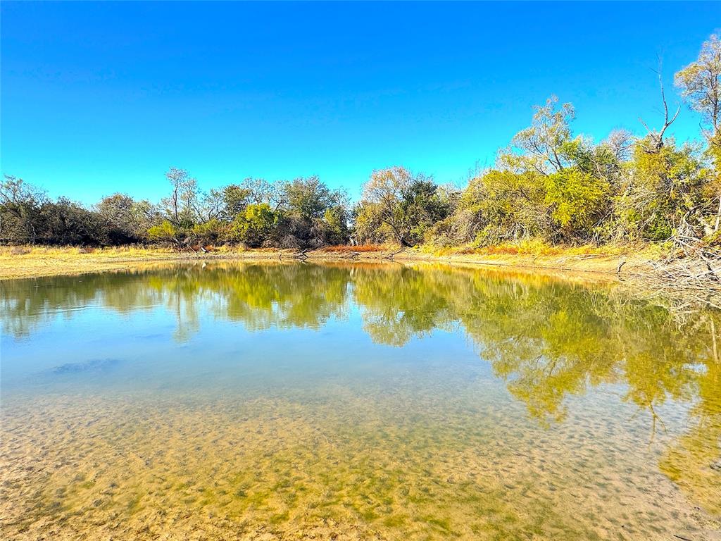 1849 Two Bush Road Property Photo 10
