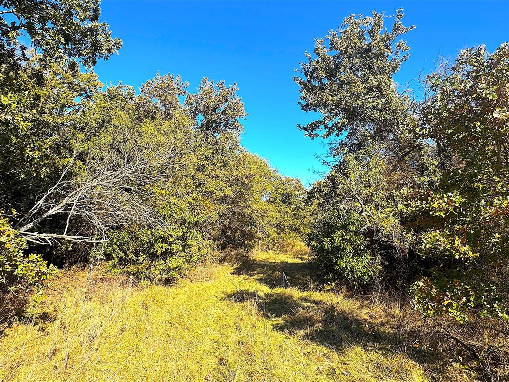 1849 Two Bush Road Property Photo 12