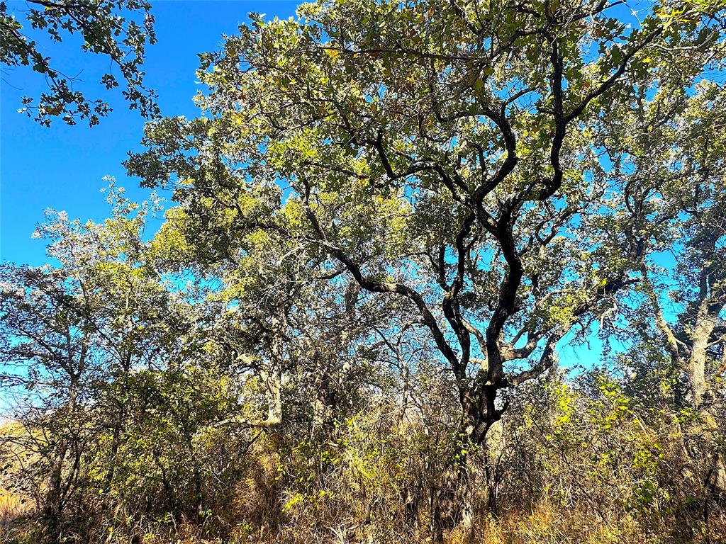 1849 Two Bush Road Property Photo 19