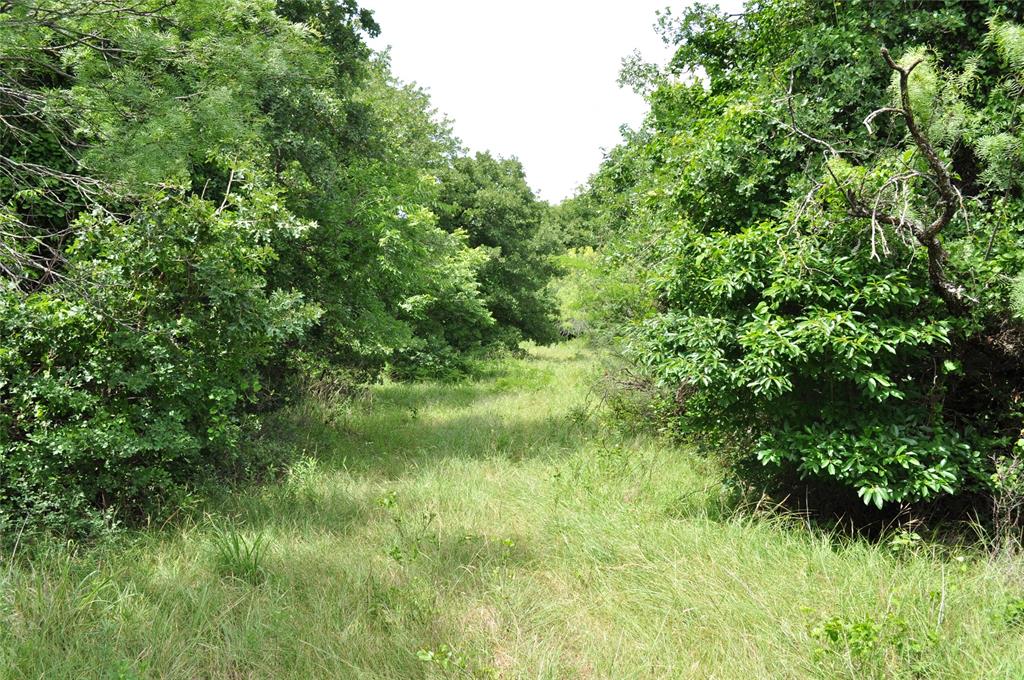 1849 Two Bush Road Property Photo 20