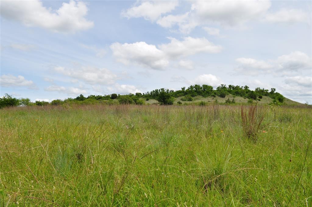 1849 Two Bush Road Property Photo 24