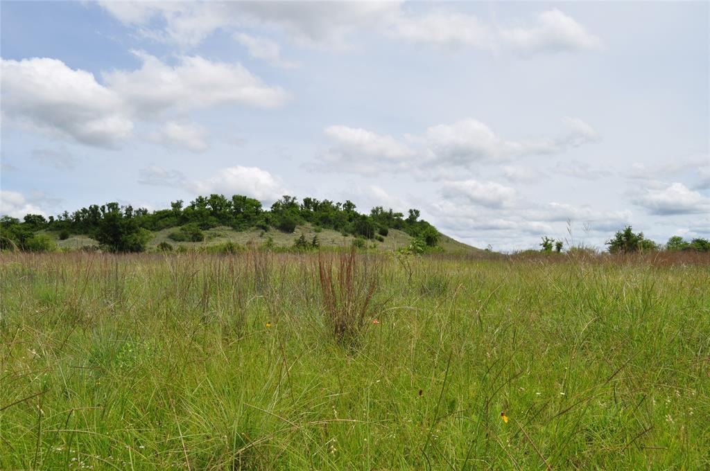 1849 Two Bush Road Property Photo 29