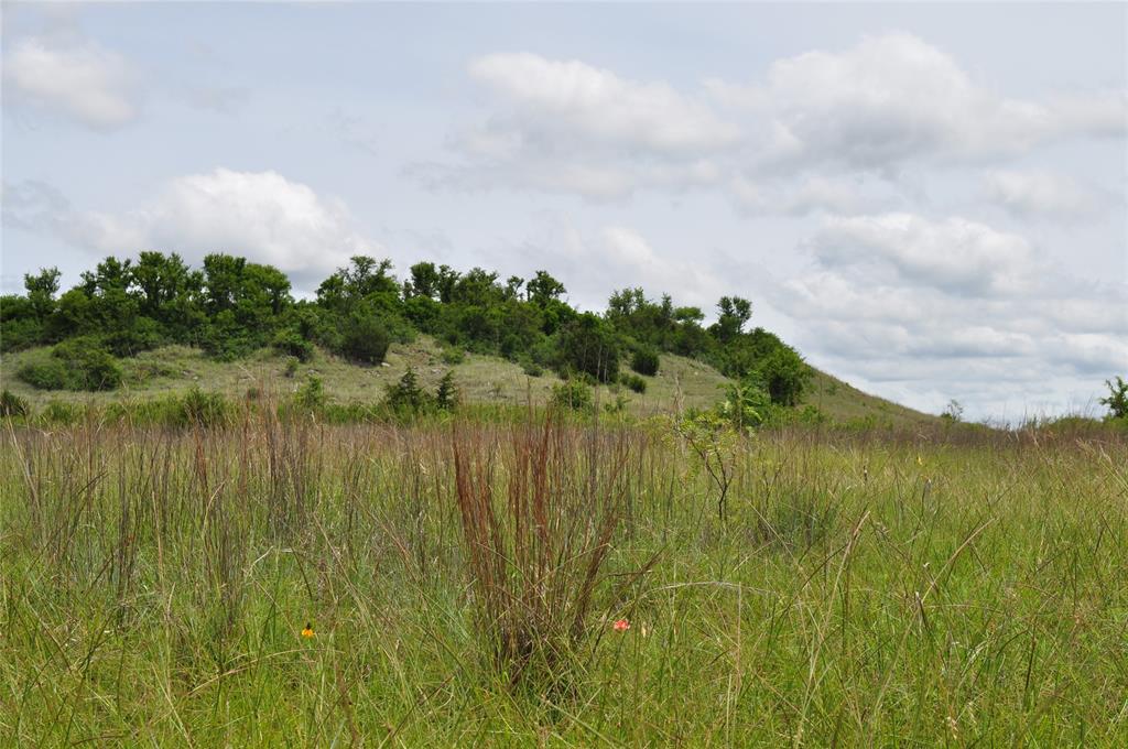1849 Two Bush Road Property Photo 30