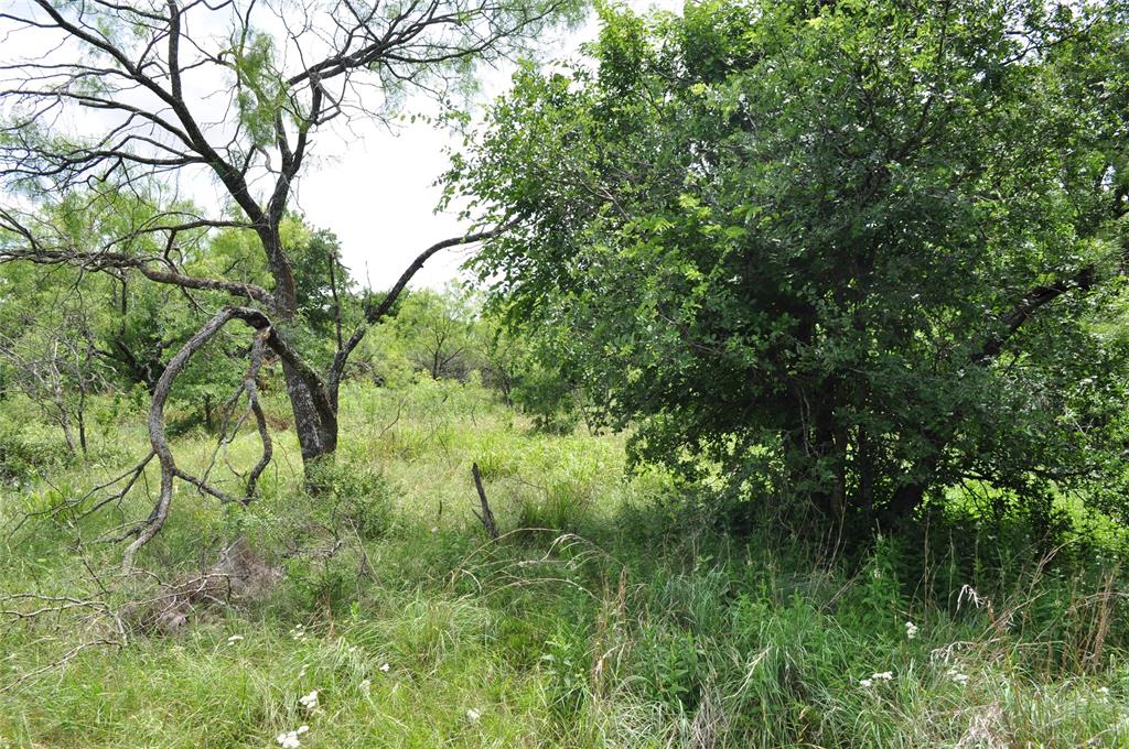 1849 Two Bush Road Property Photo 32