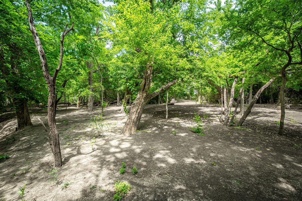 1615 Sara Cove Property Photo 40