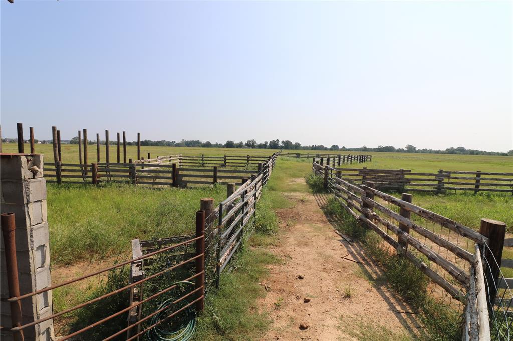14702 State Hwy 155 Property Photo 33