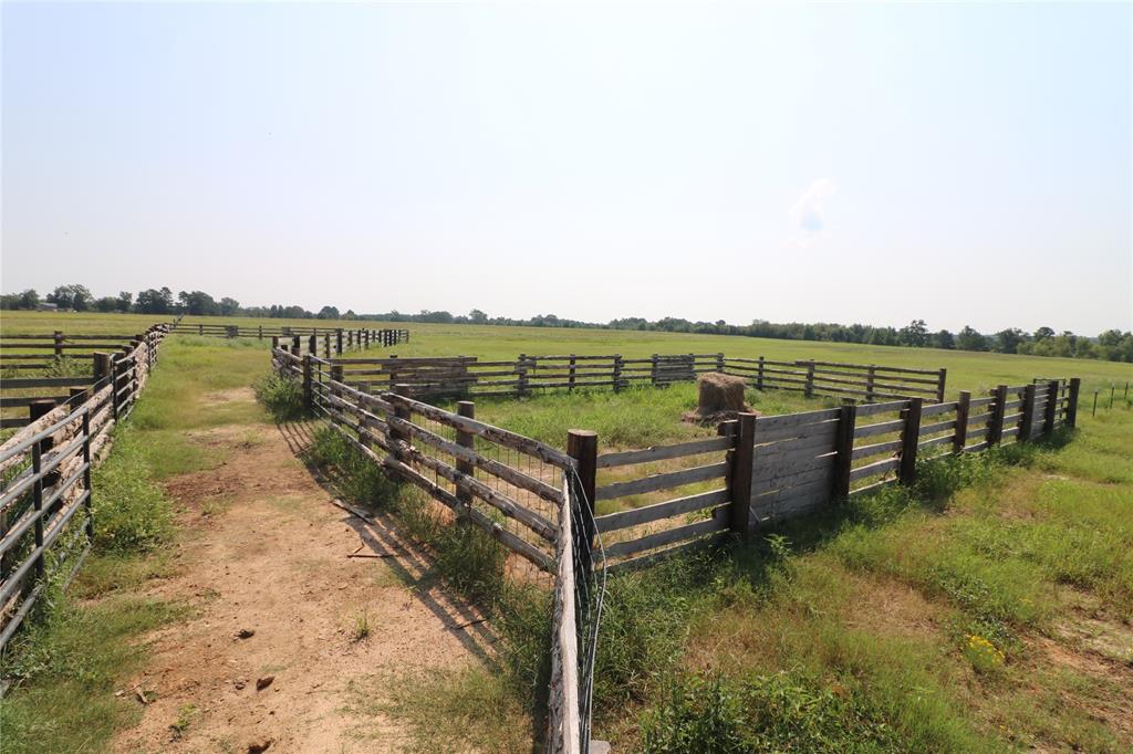 14702 State Hwy 155 Property Photo 34