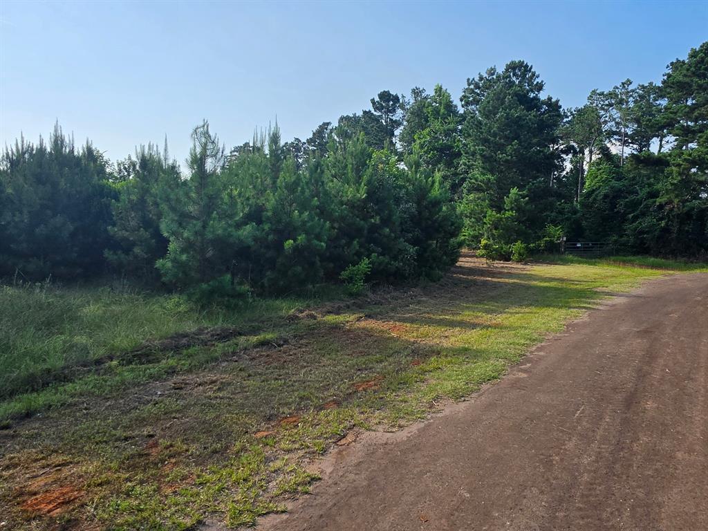 0000 W State Highway 294 Property Photo 2