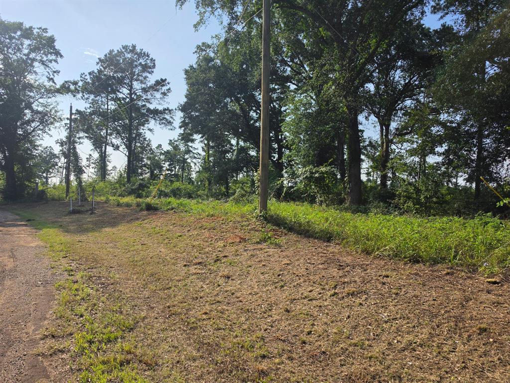 0000 W State Highway 294 Property Photo 3