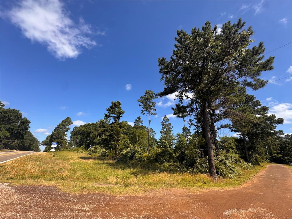 0000 W State Highway 294 Property Photo 4