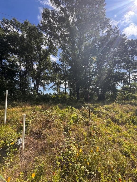 0000 W State Highway 294 Property Photo 5