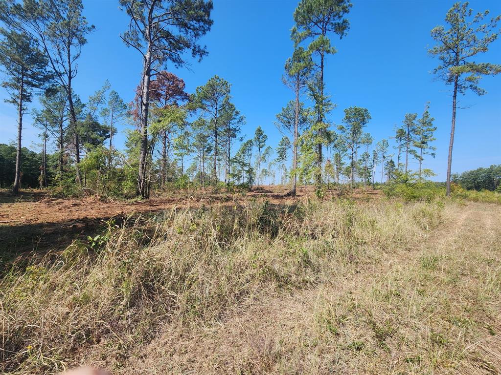 0000 W State Highway 294 Property Photo 9