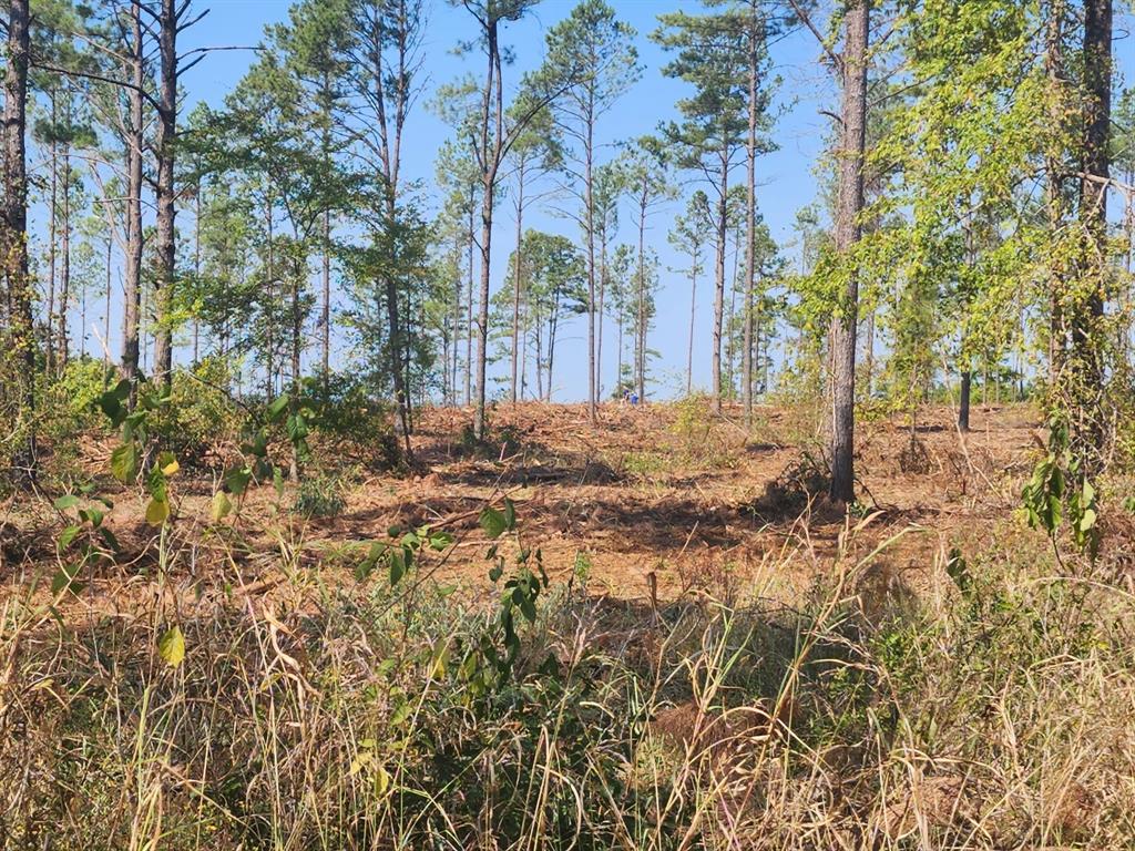 0000 W State Highway 294 Property Photo 10