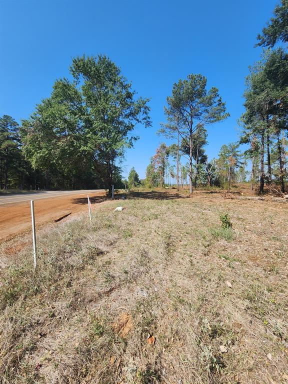 0000 W State Highway 294 Property Photo 11