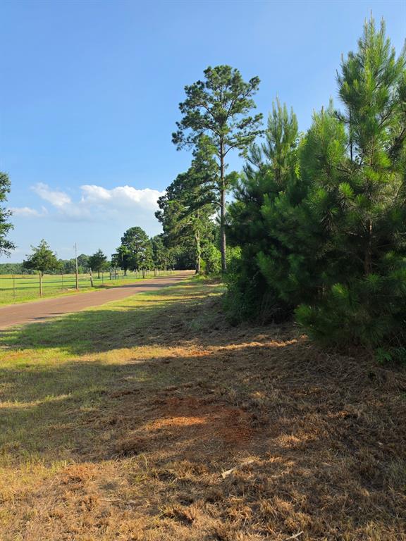 0000 W State Highway 294 Property Photo 12