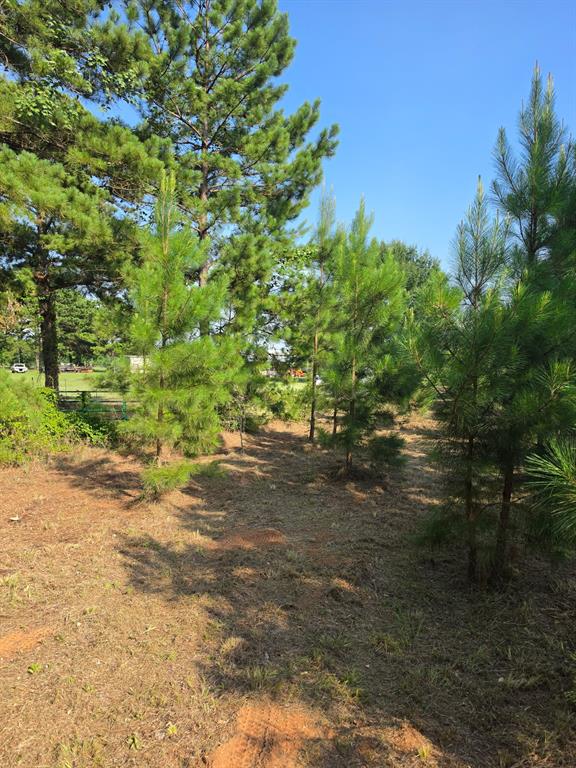 0000 W State Highway 294 Property Photo 13
