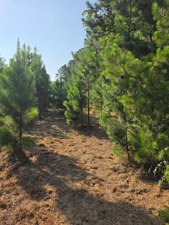 0000 W State Highway 294 Property Photo 14
