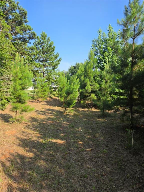 0000 W State Highway 294 Property Photo 17