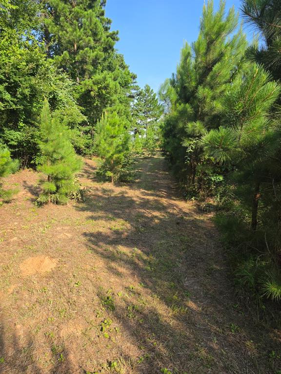 0000 W State Highway 294 Property Photo 18