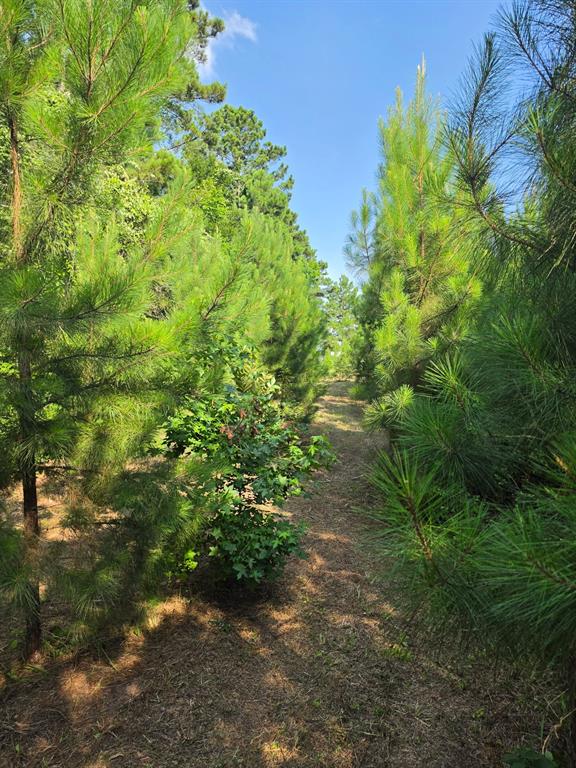 0000 W State Highway 294 Property Photo 20