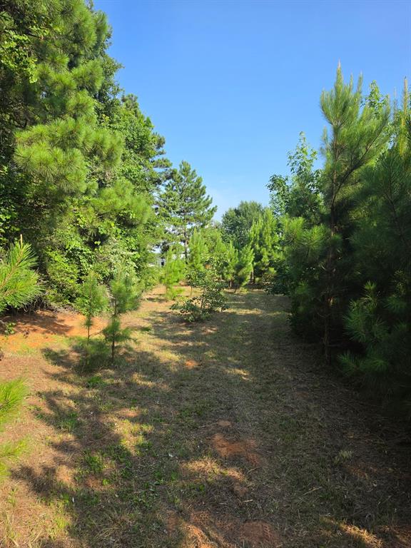 0000 W State Highway 294 Property Photo 21
