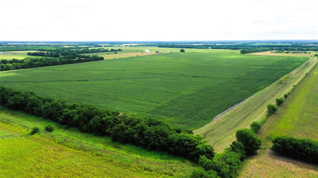 Tbd Fm Hwy 272 Property Photo 6